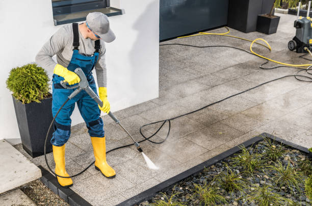 Best Roof Pressure Washing  in Boaz, AL